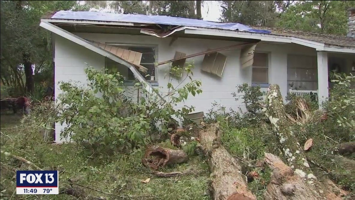 Tree crashes into Brooksville home